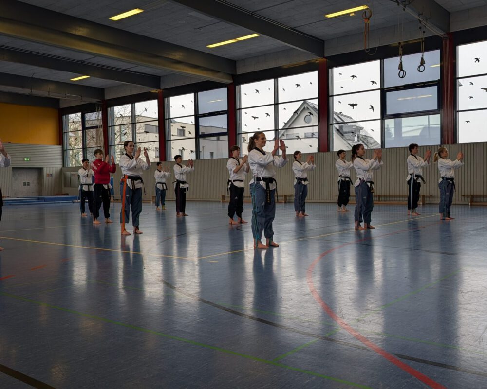 PXL_20260131_102002281.MP