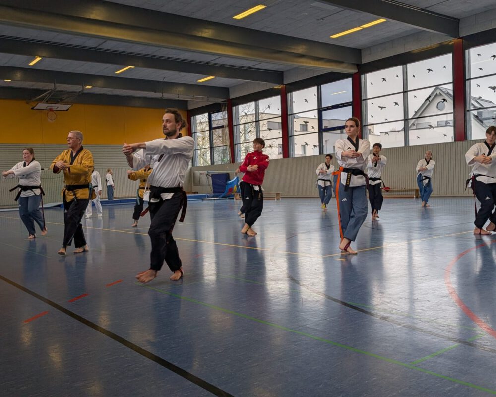 PXL_20260131_102122529.MP